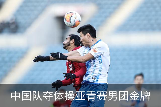 中国队夺体操亚青赛男团金牌