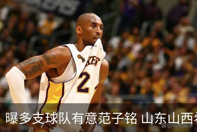 曝多支球队有意范子铭 山东山西希望与北京队谈判
