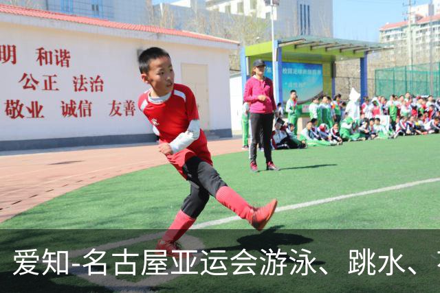 爱知-名古屋亚运会游泳、跳水、花游项目中国队参赛名单公示