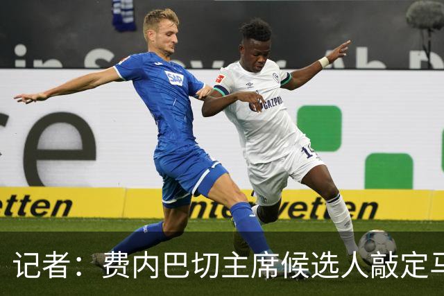 记者：费内巴切主席候选人敲定马略卡前锋V·穆里奇，当选就签下